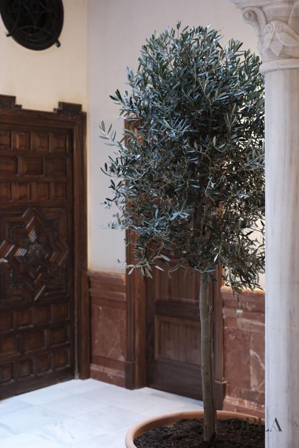 Luxury, Art And Deco Apt Para 4pax Cerca De Plaza De Espana Appartement